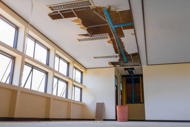 Best Ceiling water damage repair  in Benton, KY