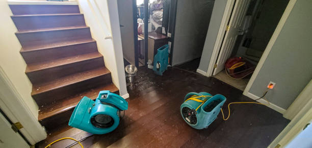 Best Emergency water damage restoration  in Benton, KY