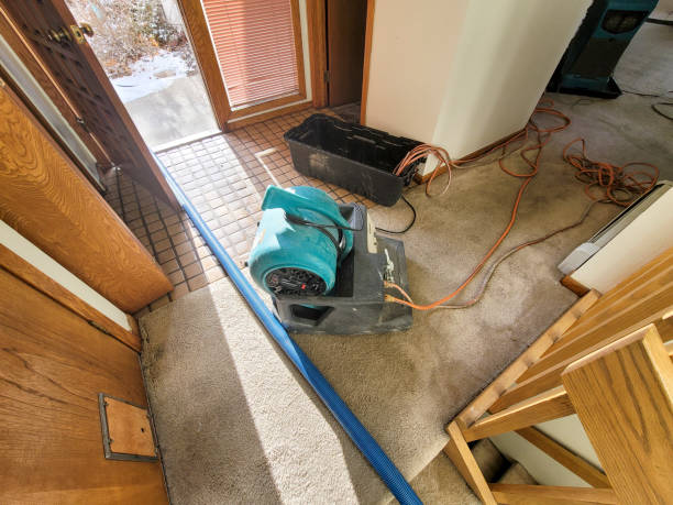 Best Water damage cleanup near me  in Benton, KY