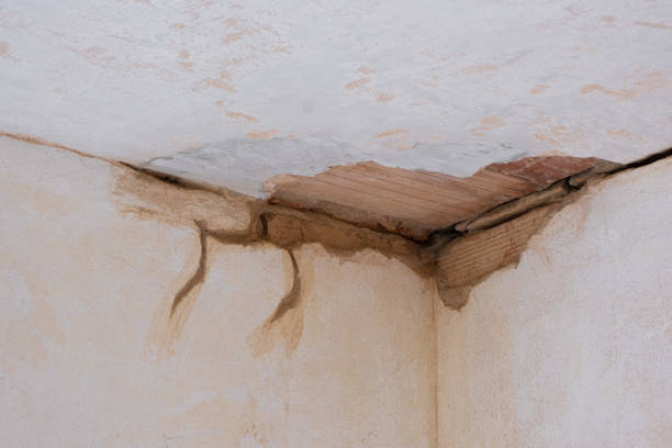 Best Carpet water damage restoration  in Benton, KY