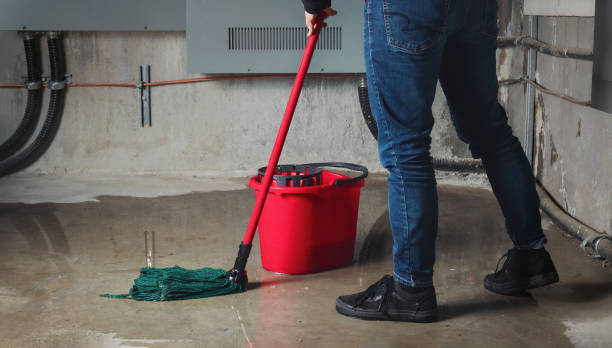 Best Water damage repair service  in Benton, KY
