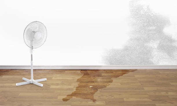 Water damage restoration insurance claims in KY