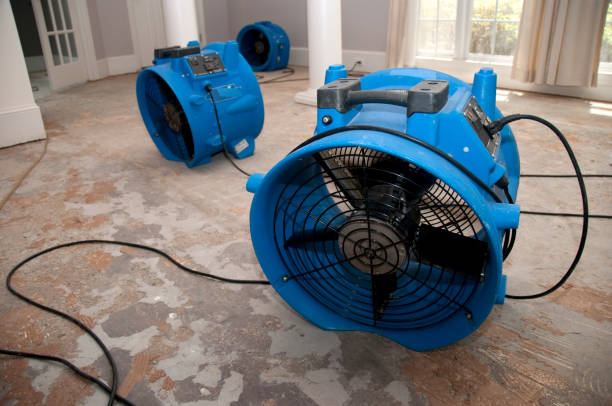 Best Basement water damage restoration  in Benton, KY