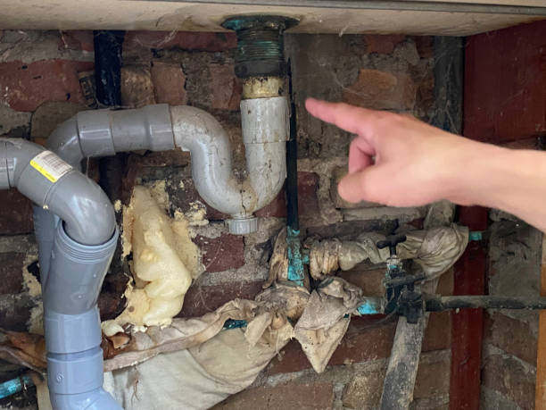 Best Water damage restoration near me  in Benton, KY