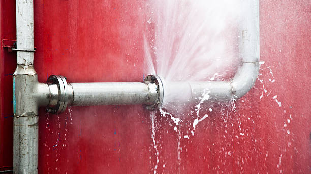 Best Professional water damage repair  in Benton, KY